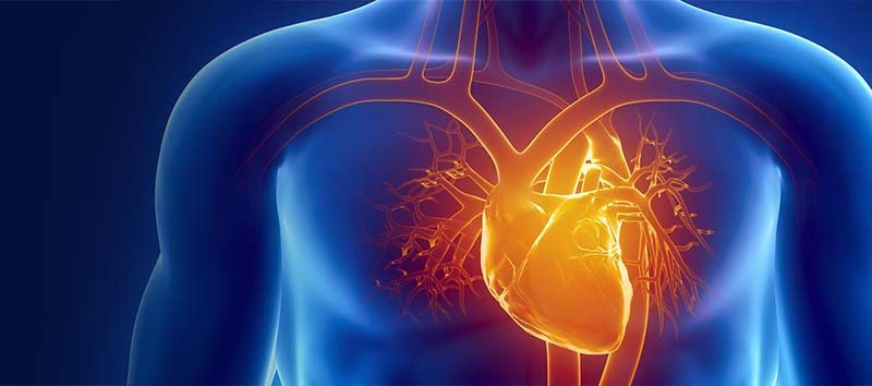 cmdlt-transcateter-valvula-mitral